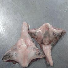 水产品市场全景 从价格、批发到厂家直销与农副产品销售一体化