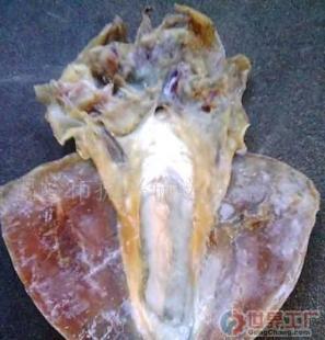 批发优级东海墨鱼干 一站式水产干货与海鲜大礼包采购指南