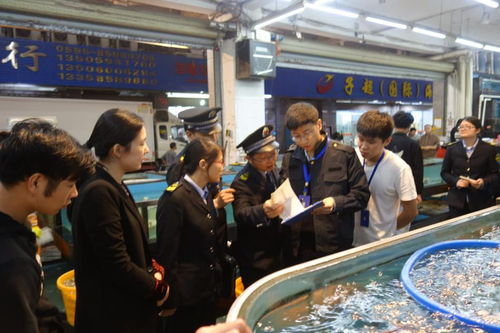 零点执法不停歇 市食品药品执法支队突击检查大型水产品批发市场