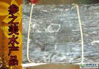 长岛特产优质海带批发 无根宽叶，粗加工水产品供应