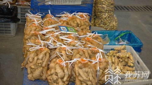 葱姜价格上扬与肉水产价格回落 农副产品市场销售动态分析