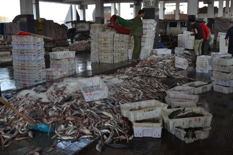 松门水产批发市场 边买边拍，探访鲜活水产品批发新体验